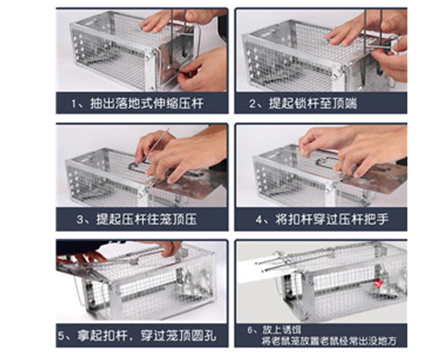 曾粵宗單門籠